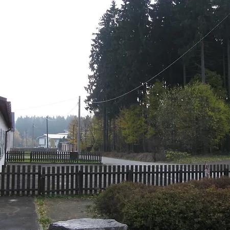 Apartament Modern In Hohenluftkurort Grunbach Near Ski Area *
