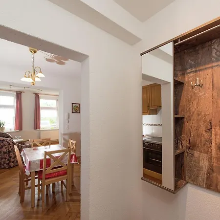 Apartament Modern In Hohenluftkurort Grunbach Near Ski Area Hammerbrucke