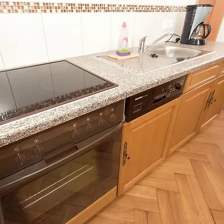 Apartament Modern In Hohenluftkurort Grunbach Near Ski Area Hammerbrucke