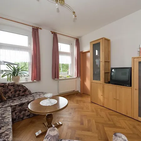 Apartament Modern In Hohenluftkurort Grunbach Near Ski Area